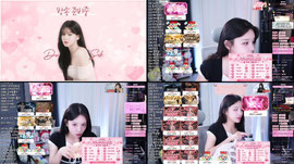 강아지 산책 미션