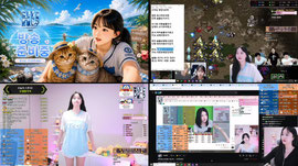 ⭐케이대⭐ 펀딩귀인 구함돌... 8vs8 피코파크