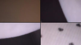 Recording Thumbnail