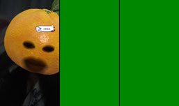 Recording Thumbnail