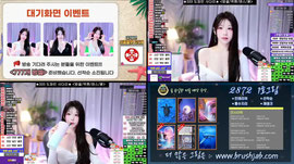 <허리 골반 돌핀> 333 방셀 사다리♥100개 꽝없는 뽑기♥앉으면 청순하고 일어나면 관능적인 붓잽