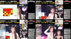 [녹] 평일 오전 10시 마리의 가족이 되어주세여!