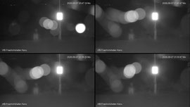 Bodensee-WebCam Kanusport Friedrichshafen