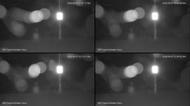 Bodensee-WebCam Kanusport Friedrichshafen