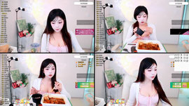 길냥이 열마리 찾기 미션