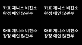맞방제니스홍보) 제니스 비친소