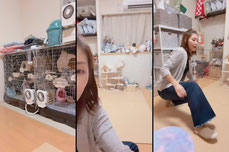 チンチラ好きさん気軽にコメントどうぞ🫰