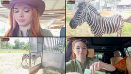 ✨HORSE RIDING & ZEBRA STREAM✨ !s for my socials