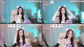 야 옹 해봐