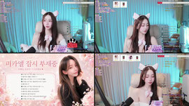 야 옹 해봐