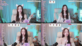야 옹 해봐