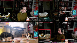 🎵🌸 Friday Focus Dance Party 🌸 12 Hours ~ Co-Working ₍^. .^₎⟆✨ !coworking !coworkhelp !charity !song