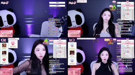 내일 오후2시 채인컴퍼니 START