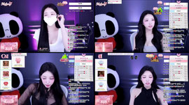 내일 오후2시 채인컴퍼니 START