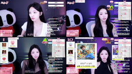 내일 오후2시 채인컴퍼니 START