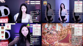 내일 오후2시 채인컴퍼니 START
