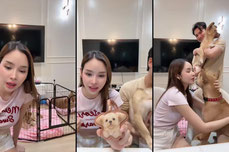 เหมยลี่มาแล้ว