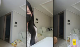 노브라