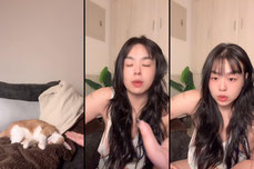 Untitled stream