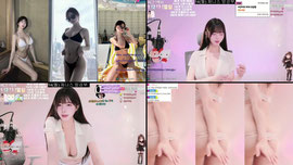 제니스) 팬더 궁디 1티어