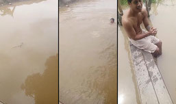 domingo nadando dando una vuelta en el río
