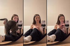 ТГК: viktoryia_0