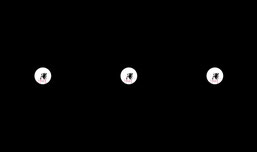 Black screen