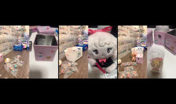 収集癖