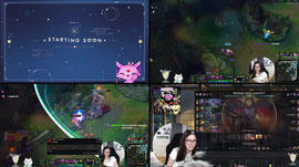 adc mental boom arc
