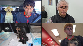 New Hair | Buying A Dog