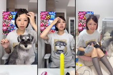 天才犬とアホ飼い主見ていく？