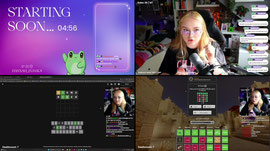🔴MINECRAFT MITTWOCH 🔴 Wir sammel alle ITEMS // Quatschen & Gaming // !hallo