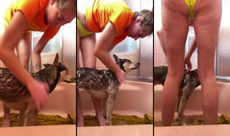 GIVING MY PITSKY PUPPIES A BATH