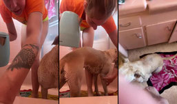 MEET MY GRANDBABY SKADI RINSING BATH TIME