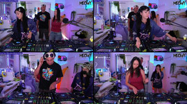 saving feral cats with DRUM AND BASS B3B ฅ^•ﻌ•^ฅ ⋆｡ cat charity fundraiser stream !feral !theravecats