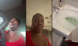 SOUTHAMERICANBRI  is live!