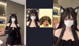 大猫不在家 我是小猫