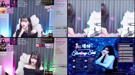 14일차 늅이 채하 회장님에 굶주려있는 아이..