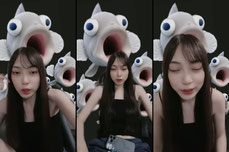 Untitled stream