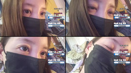 놀자 사고 한ㅁ번 쳐?