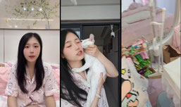 红果🍅关注熊槿夏