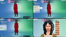 simsss