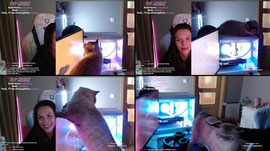 OSTATNI STREAM NA TYM KANALE ELO CWLE