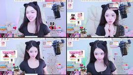 56일차 뉴비) 애완냥이 민유랑 놀자