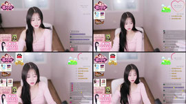 짧방해용><