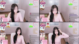 짧방해용><
