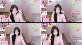 짧방해용><