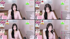 짧방해용><