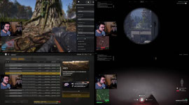 test de meld studio
