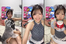 天才犬とアホ飼い主見ていく？